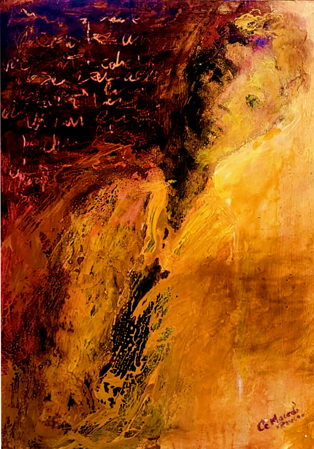 Impermeable (35 x 25 cm)